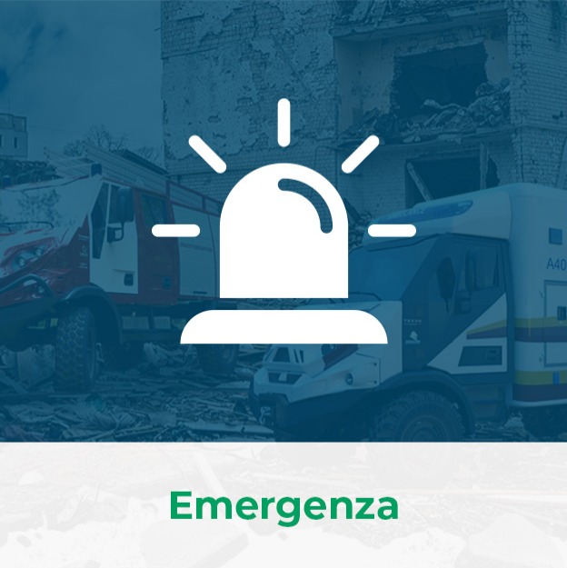 emergenza smart